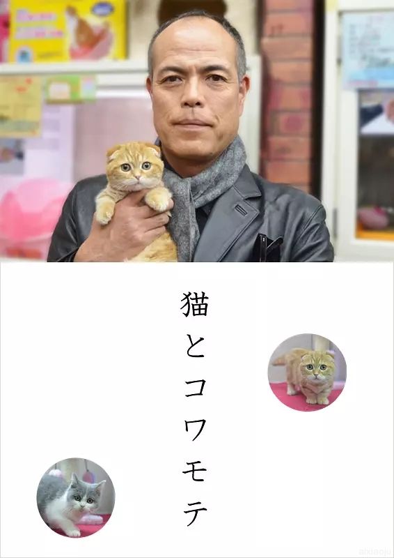 点击查看原图