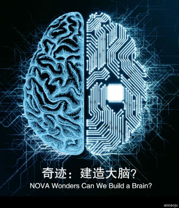 点击查看原图